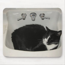 Skylar sleeping in the sink mouse pads