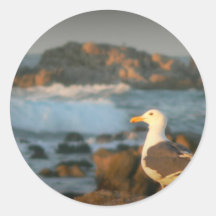 Skylark Seagull Round Sticker