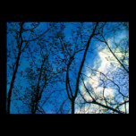 Skyline throught Fall Tree Scapes - Toronto Island posters