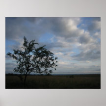 Skys nuageux posters