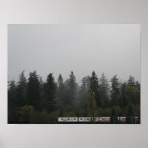 Skytrain in the Wilderness Posters