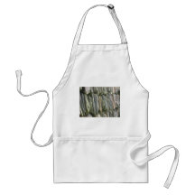 Slate Apron