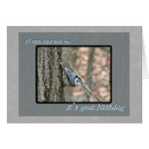 Slate Grey Nuthatch Birthday Songbird Cards