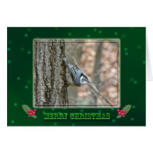 Slate Grey Nuthatch Christmas Songbird Greeting Cards