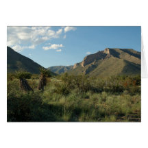 Slaughter Canyon Card