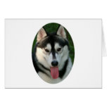 Sled Dog Greeting Card
