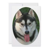Sled Dog Invitation