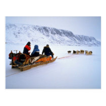 Sled dog tour, South Baffin Island postcards