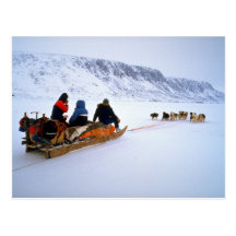 Sled dog tour, South Baffin Island Post Card
