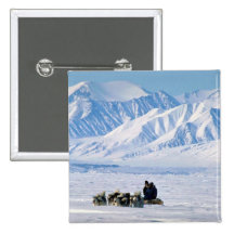 Sled dog travel, Baffin Island Buttons