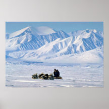 Sled dog travel, Baffin Island Poster
