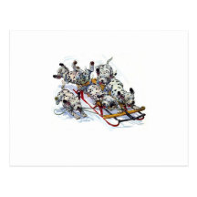 Sledding Dalmatian Pups Post Cards