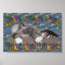 Sleep, cuddle, purr! posters
