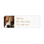 Sleeping Beagle Return Address Label