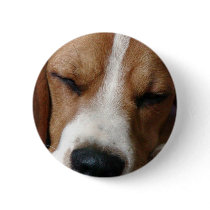 Sleeping Beagle Round Button