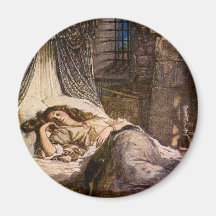 Sleeping Beauty Fridge Magnets