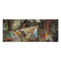 Sleeping Beauty in the Pavilion Art Photo