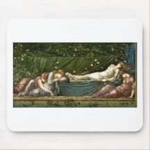 sleeping beauty mousepads