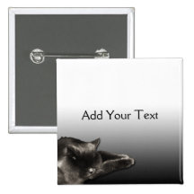 Sleeping Black Cat on Black Gradient
