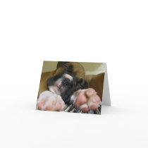 Sleeping Boxer puppy notecard