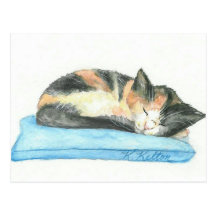 Sleeping Calico Kitten Postcard