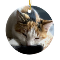 Sleeping Calico Christmas Ornaments