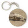 Sleeping camel keychains