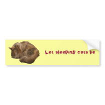 Sleeping cat bumper stickers
