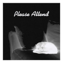 Sleeping Cat On Sofa - B&W Negative Custom Announcements