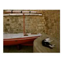Sleeping cat postcard