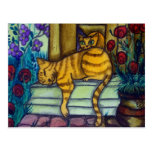 Sleeping Cat postcards