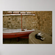 Sleeping Cat Posters