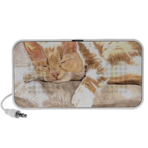 Sleeping Cat Speaker System