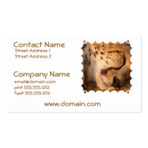 Sleeping Cheetah Business Cards