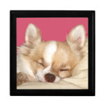 Sleeping chihuahua jewelry box
