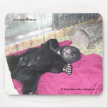 Sleeping Cub Mousepad