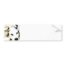 Sleeping Dalmatian Bumper Stickers