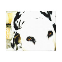 Sleeping Dalmatian Canvas Print