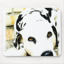 Sleeping Dalmatian Mouse Pad