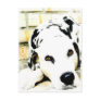Sleeping Dalmatian Postcards