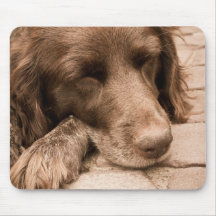 Sleeping Dog Mousepad