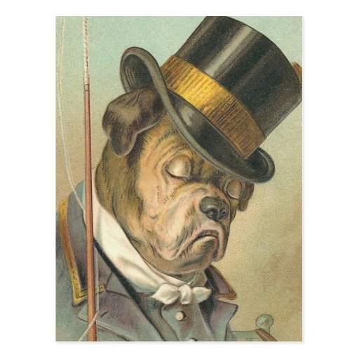 "Sleeping Dog" Vintage Postcard