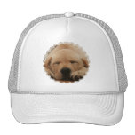 Sleeping Golden Retriever Baseball Hat