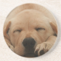Sleeping Golden Retriever Coaster
