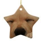 Sleeping Golden Retriever Ornament ornaments