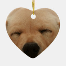 Sleeping Golden Retriever Ornament