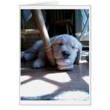 Sleeping Golden Retriever Puppy Greeting Cards