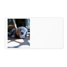 Sleeping Golden Retriever Puppy Custom Shipping Labels