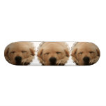 Sleeping Golden Retriever Skateboard
