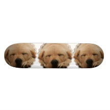 Sleeping Golden Retriever Skateboard